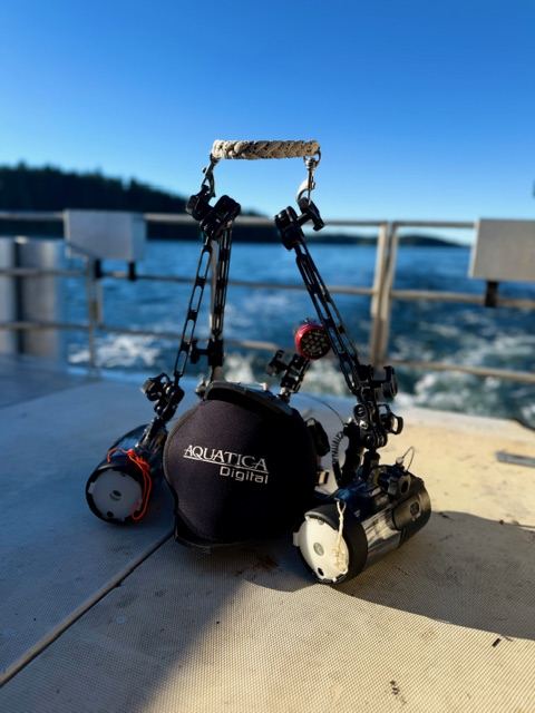 Underwater camera rig on the dock