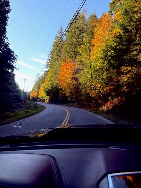 Autumn colour along the road to the coast