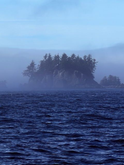 An islet in the morning fog, Barkley Sound