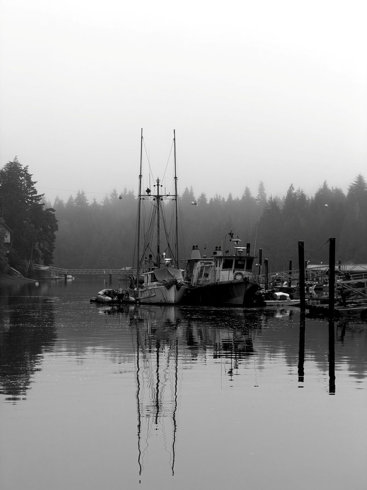 Fishing boats in the fog at Bamfield inlet