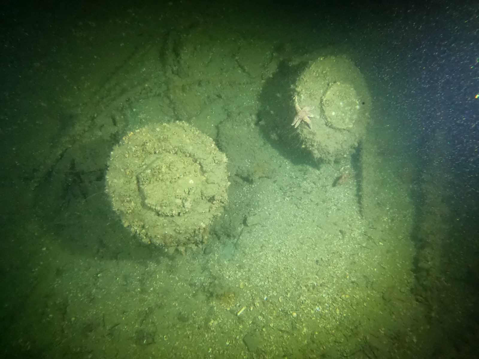 Bollards on her deck, with a sea star standing watch