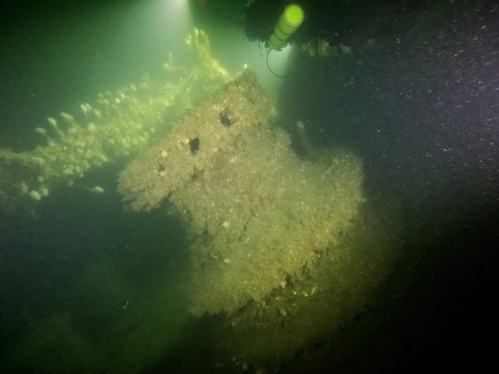 A diver's light over the Empress