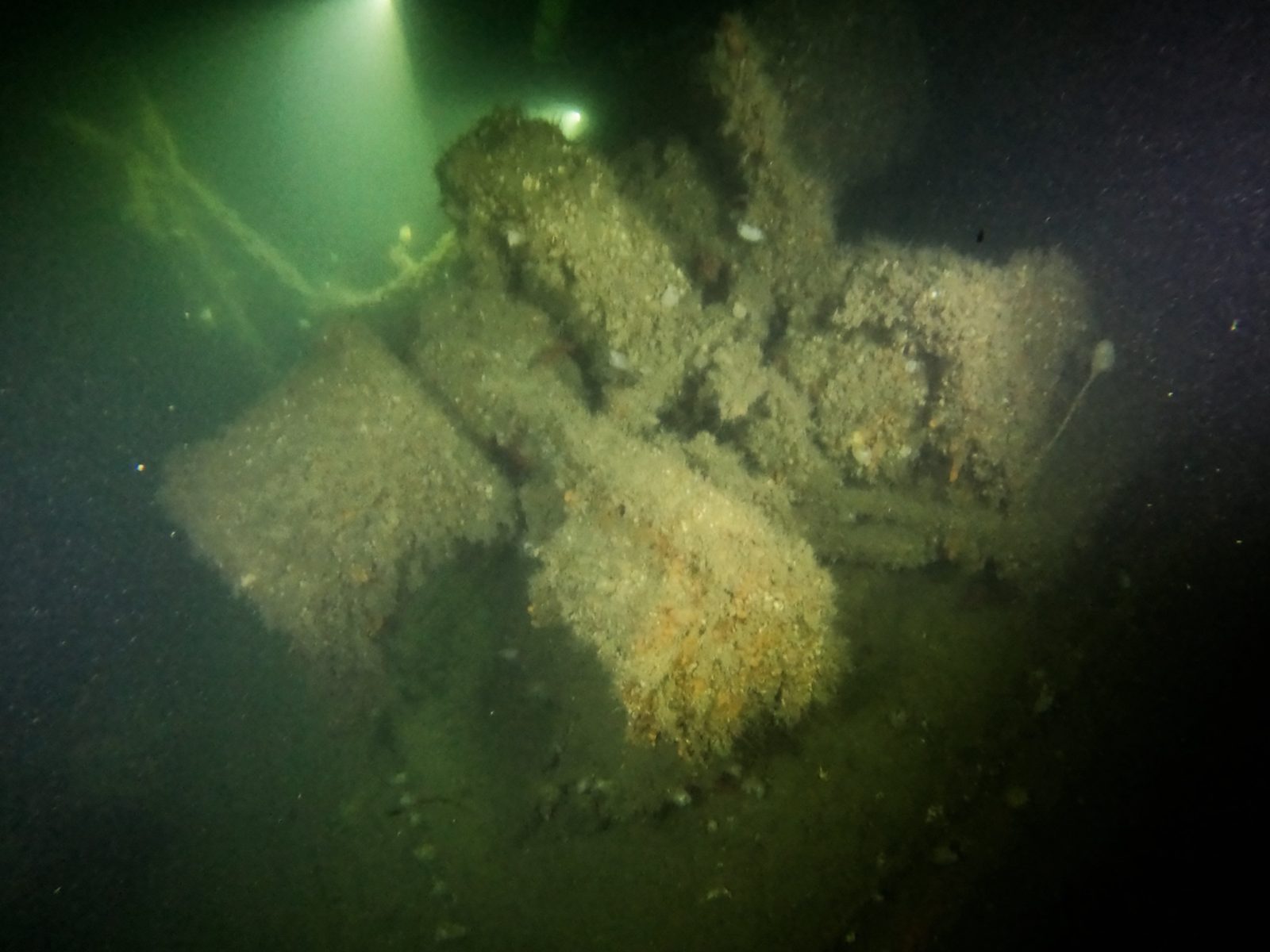 On the wreck of the Empress
