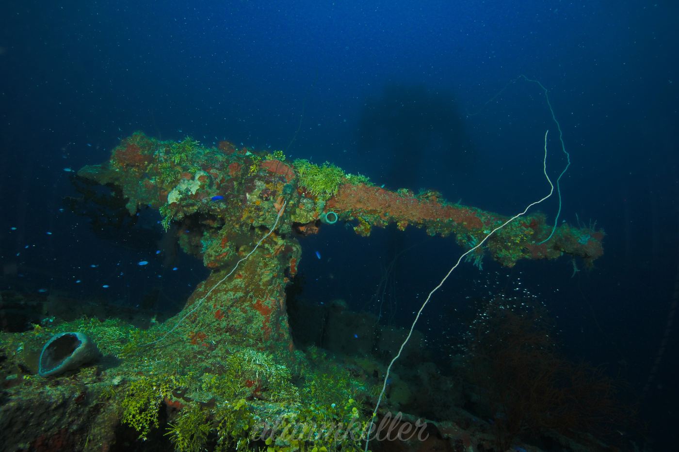 A coral-encrusted bow gun