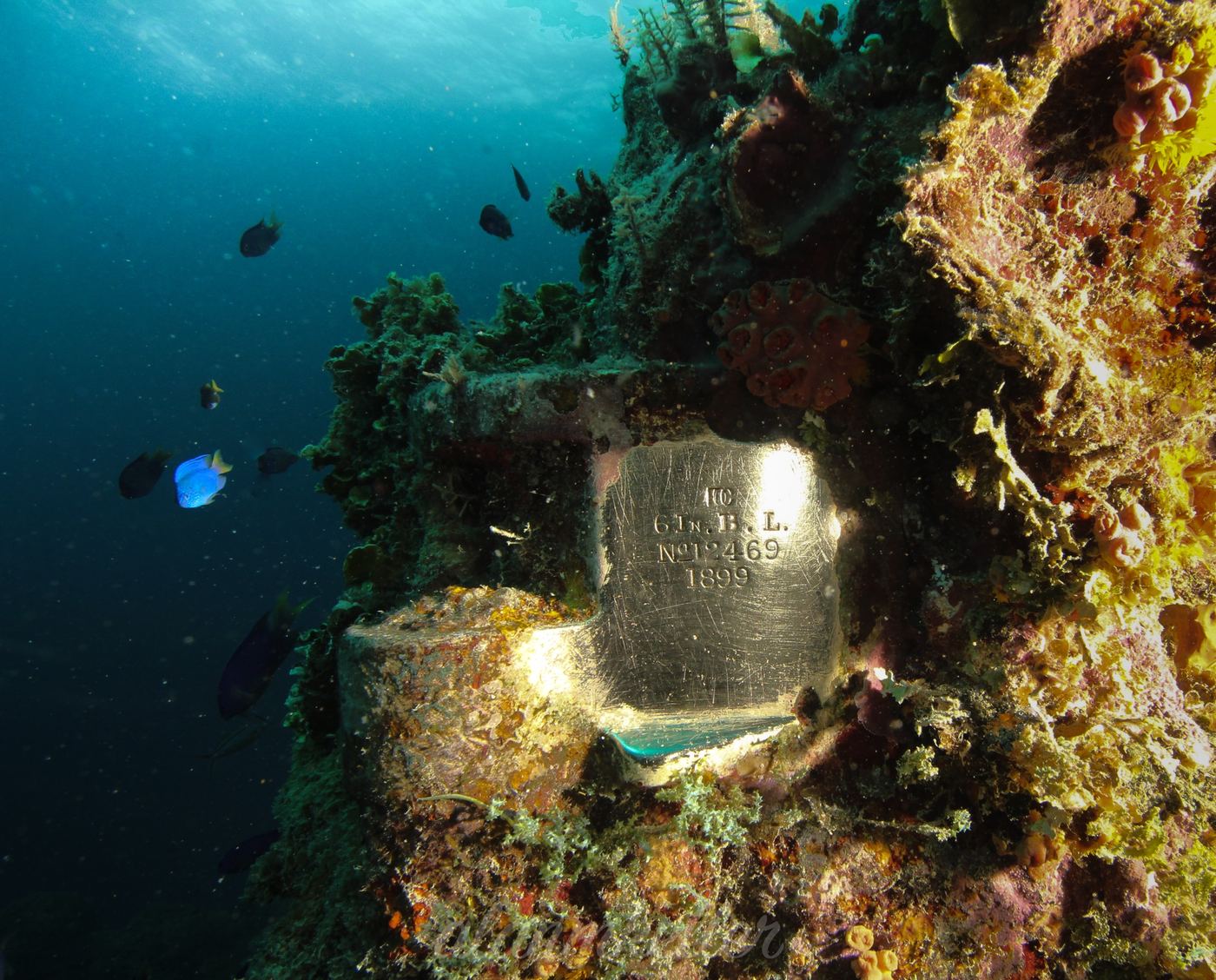 A naval gun plaque dated 1899