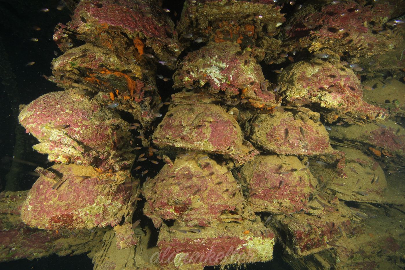 Rows of sea mines in the hold