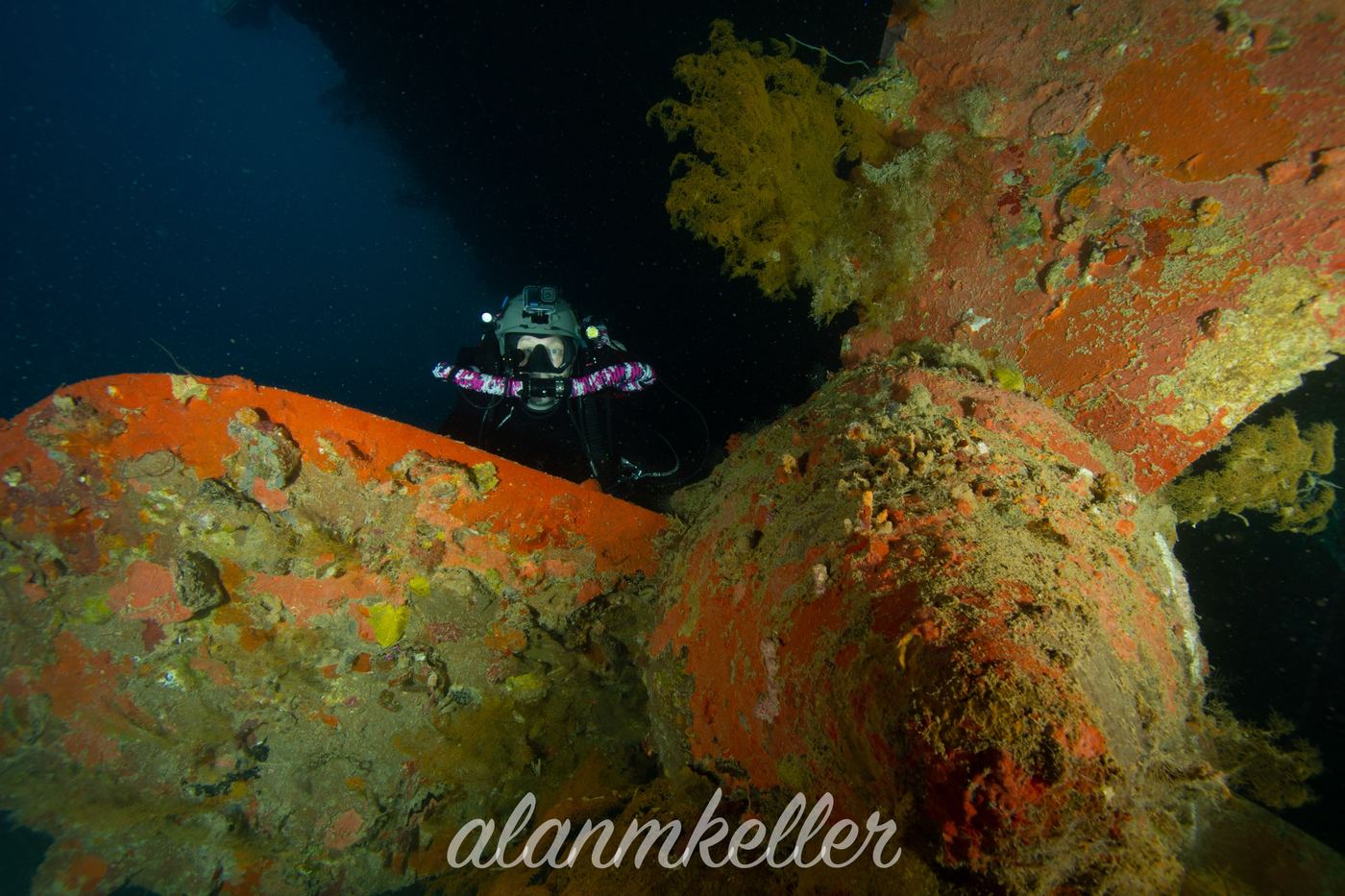 A diver dwarfed by the propeller