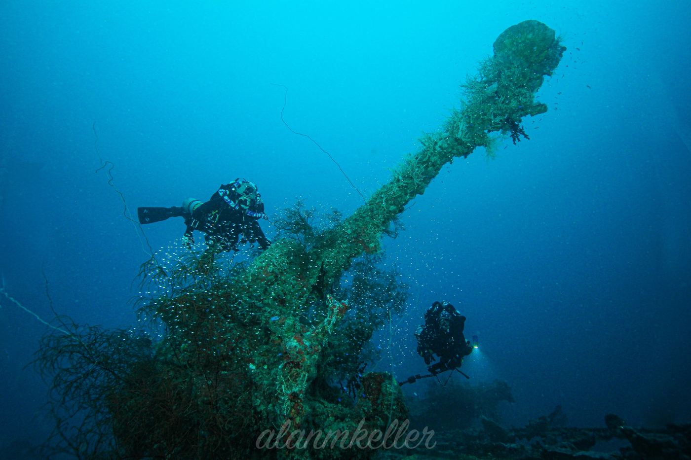 Divers at a coral-covered gun